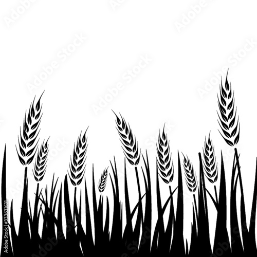 Wheat field background. Cereals icon set with rice, wheat, corn, oats, rye, barley isolated on white background