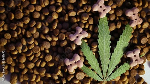 Dog and cat treats and cannabis leaves - CBD and medical marijuana for pets concept, medical and recreational marijuana and cannabis.