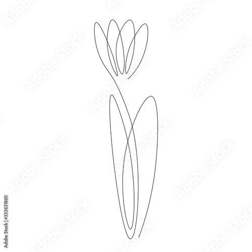 Flowers one line drawing  vector illustration