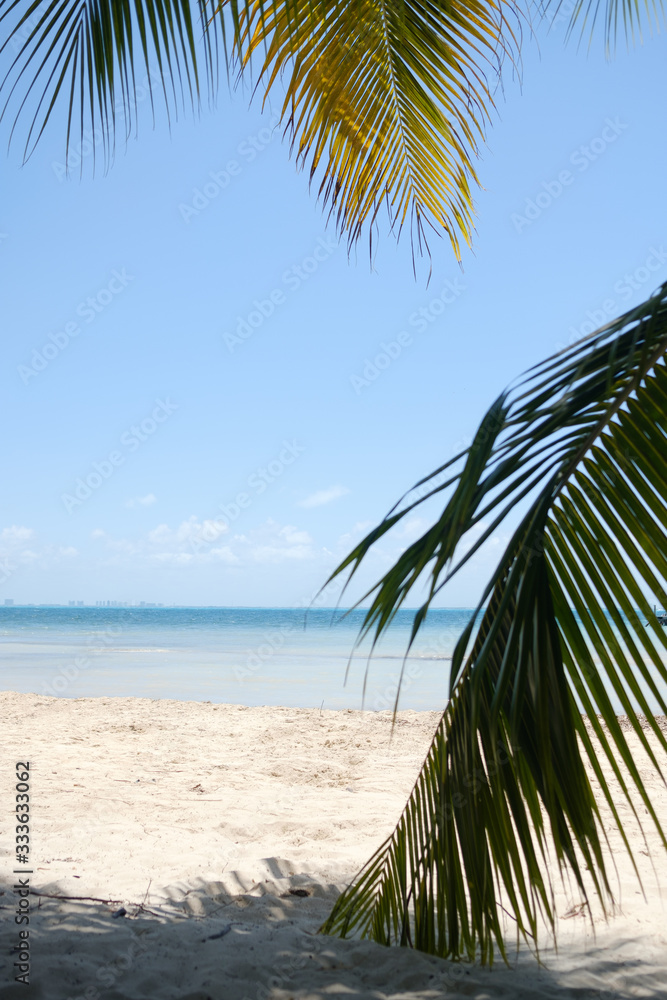 Sunny tropical beach with palm trees.