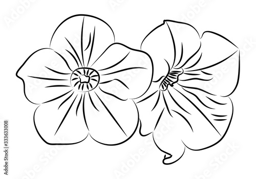 Dibujo de flores hecho con trazos negros.