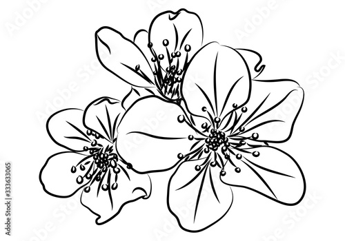 Dibujo de flores hecho con trazos negros.