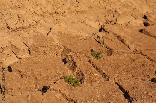 Dry cracked earth background in arid season. Many Province of North East in Thailand the ground dry. Brown cracked soil in the summer When water in Mekong, canal, brook, reservoir, dry up. Dryness.