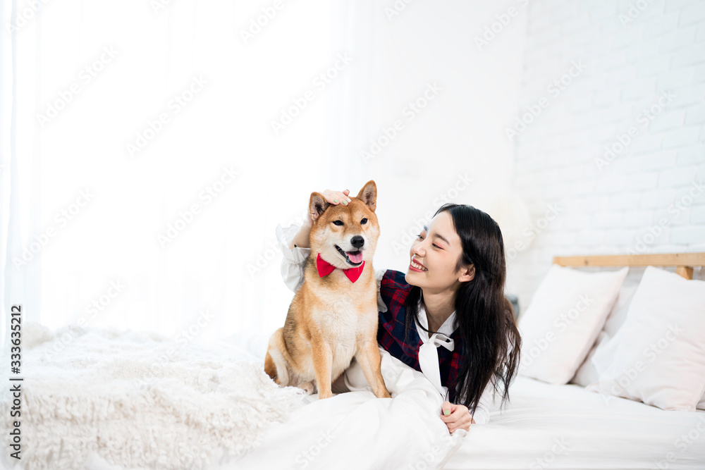 Pet Lover concept. An Asian girl is learning and parody the smile of her Shiba Inu dog. A girl is laying with a Shiba Inu dog on a bed. Pet Lover concept. An Asian girl is learning and parody the smile of her Shiba Inu dog. A girl is laying with a Shiba Inu dog on a bed.