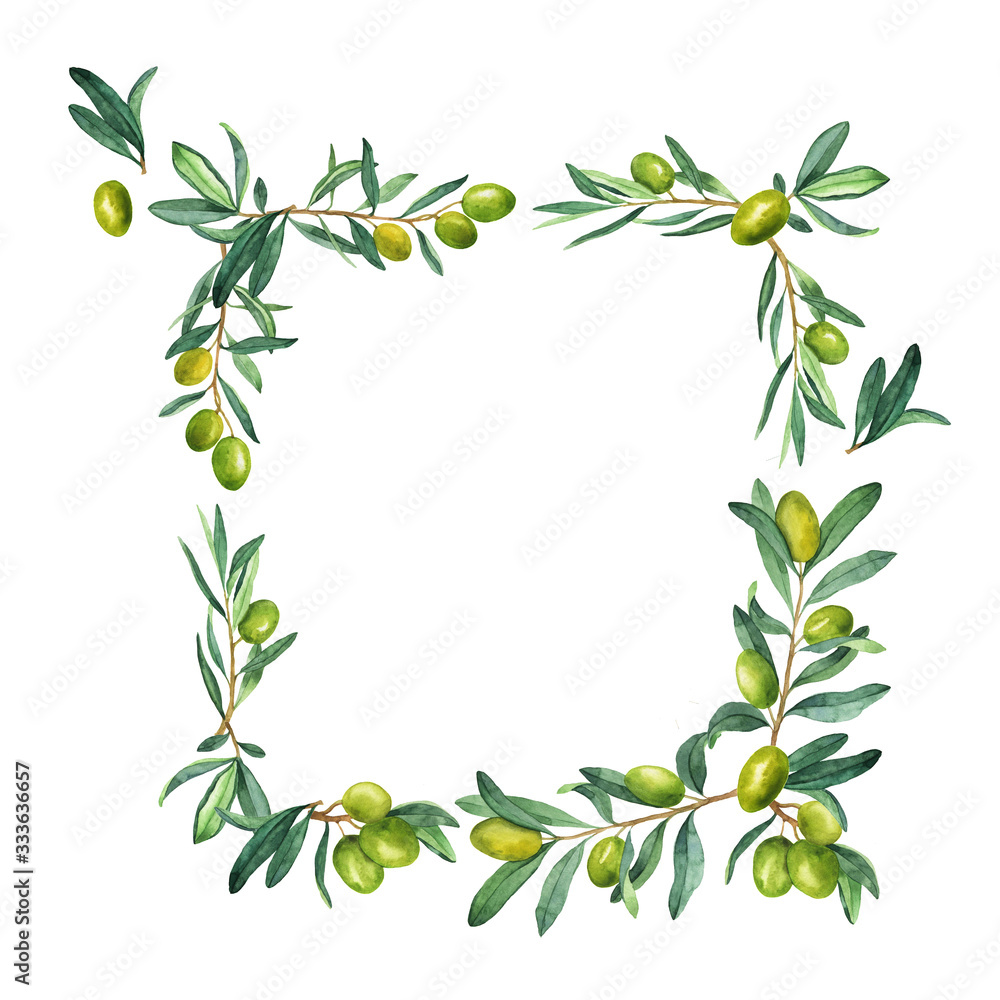 Green olive branches, berries and leaves frame isolated on white background. Hand drawn watercolor illustration.