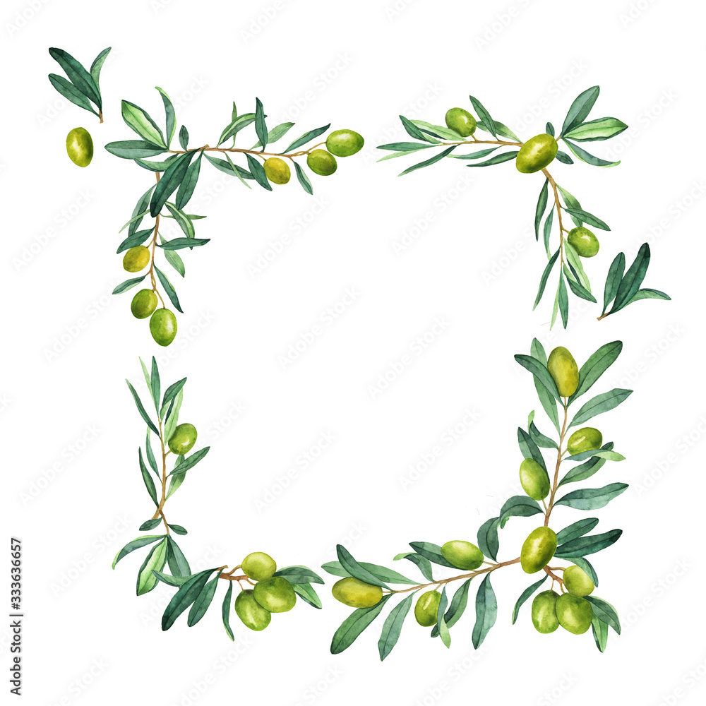 Green olive branches, berries and leaves frame isolated on white background. Hand drawn watercolor illustration. Green olive branches, berries and leaves frame isolated on white background. Hand drawn watercolor illustration.