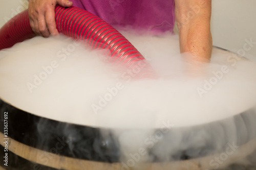 Εκτύπωση καμβά made of traditional organic wine making grapes in wooden wine barrel with dry ic
