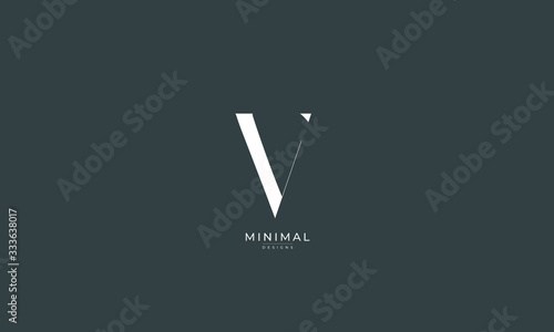 Alphabet letter icon logo V