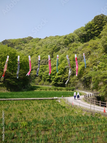美しい鯉のぼりがはためく日本の伝統的な田園風景
