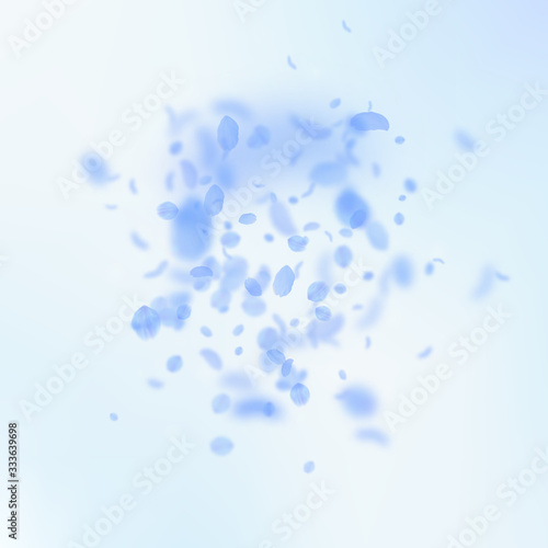 Dark blue flower petals falling down. Graceful rom