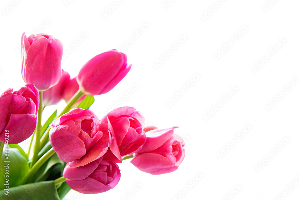 Beautiful tulips bouquet Beautiful tulips bouquet