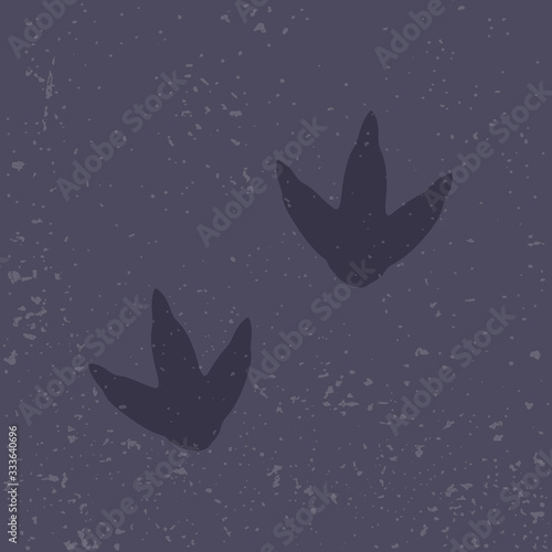 dinosaur footprints, fossils vector illustration