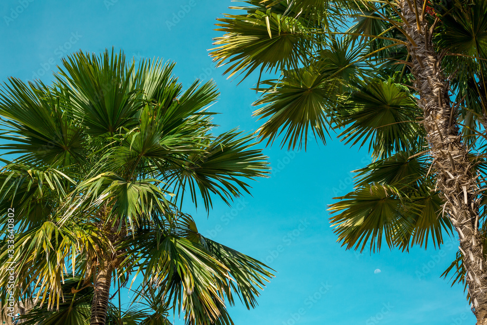 Fototapeta premium agriculture, background, beach, beautiful, blue, bright, cloudy, coast, color, colorful, environment, equipment, evening, float, fresh, garden, green, holiday, island, landscape, natural, nature, old,