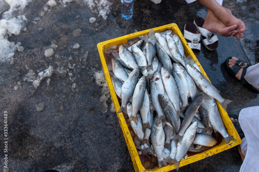 Obraz premium Dubai Fish Market