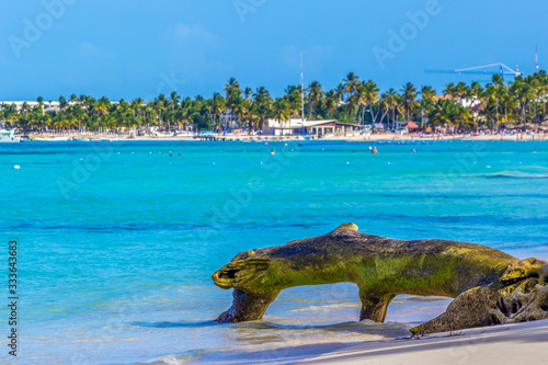 Beautiful wild and sand beach in Punta Cana,