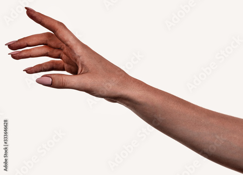 Female black hands isolated white background showing gesture holds something or takes, gives. african woman hands showing different gestures