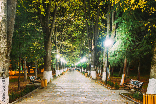 Borjomi, Georgia. City Park Merab Kostava's Garden In Night Illuminations Lights
