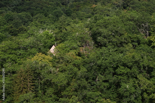 Barely visible house facade through a beautiful dense forest in Corrèze (New Aquitaine, France)