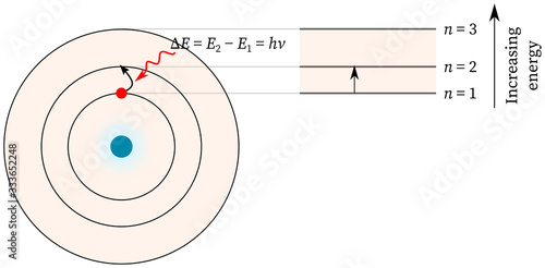 Electron jump from lower energy to higher energy and energy is absorbed Bohr atomic model atom structure theory nucleus absorption