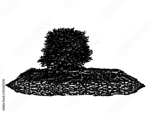 vector de arból sobre isla