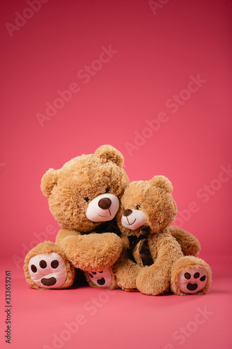 Fotografía teddy bears hug