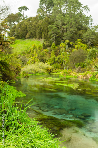 ニュージーランド プタルルのブルースプリングの透明で澄んだ川