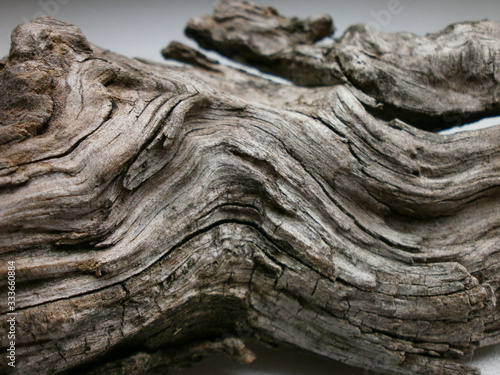 Driftwood/aged wood over white background. Isolated piece of driftwood top view. Driftwood stick closeup, wood texture for aquarium.