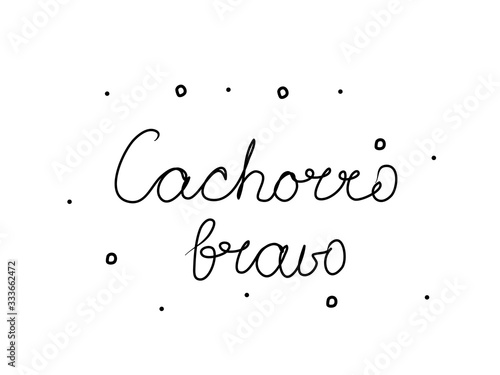 Cachorro bravo phrase handwritten with a calligraphy brush. Angry dog in portuguese. Modern brush calligraphy. Isolated word black