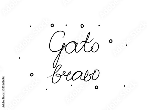 Gato bravo phrase handwritten with a calligraphy brush. Angry cat in portuguese. Modern brush calligraphy. Isolated word black