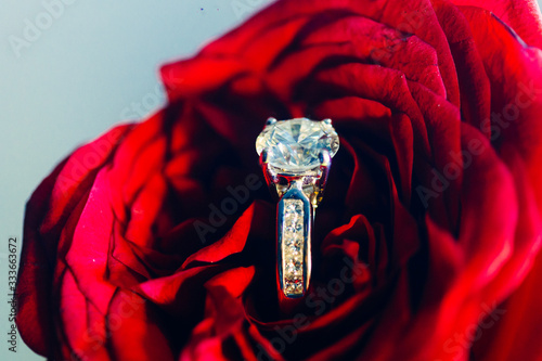 A gorgeous Diamond ring protrudes out of a Red Rose