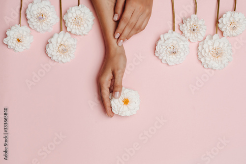 Woman's hands touching a white dahlia flower, among other flowers on pink background. The concept of tenderness.