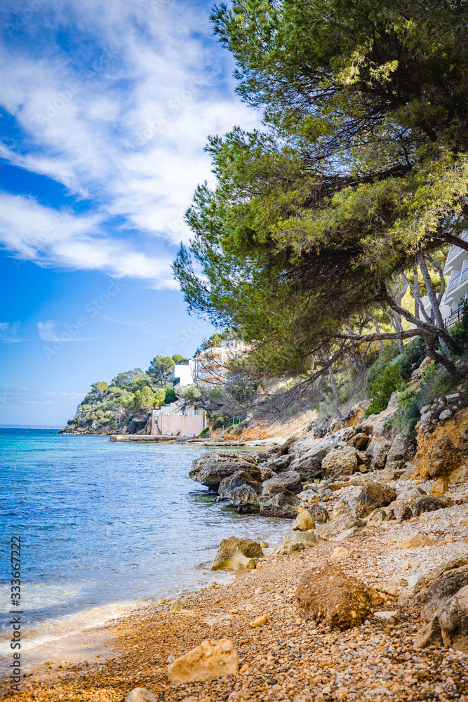 Beautiful stone Beach in Palmanova Mallorca, Spain. Teal Sea and pine trees. Beautiful stone Beach in Palmanova Mallorca, Spain. Teal Sea and pine trees.