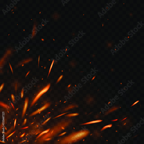 Fire sparks on transparent background. Isolated burning particles. Vector illustration