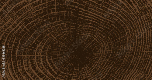 Cracked stump wood texture. Wood material surface. Natural wooden stump trace. Lumber surface. Vector illustration