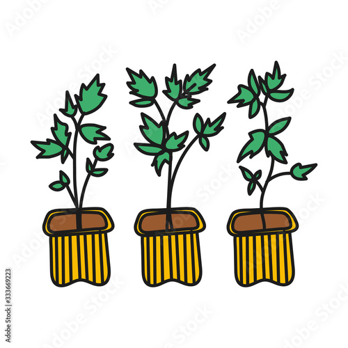 Simplified colored vector illustration of a seedlings on a white background.