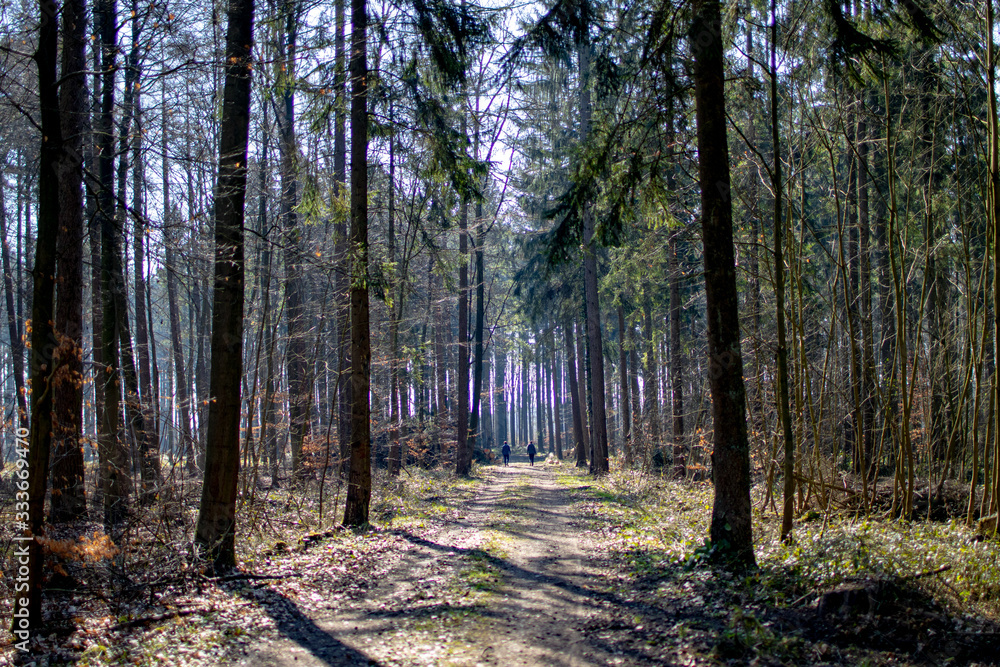 Zwei Joggerinnen in der Ferne im Wald Social Distancing Zwei Joggerinnen in der Ferne im Wald Social Distancing