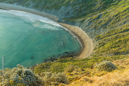 ニュージーランド ワイララパのキャッスル・ポイントのキャッスル・ロックから見えるビーチ