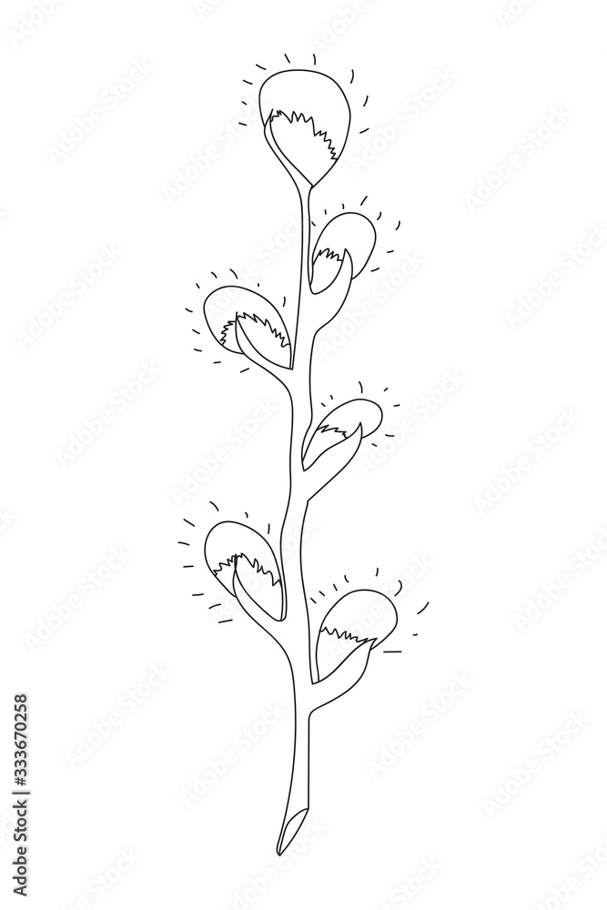 Pussy-willow branch, catkin - black and white contoured isolated on white  background. Vector illustration in a flat style for spring design and Easter coloring.