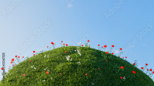 Photographie 3D green hill of grass with small red and white flower isolated over a blue sky background