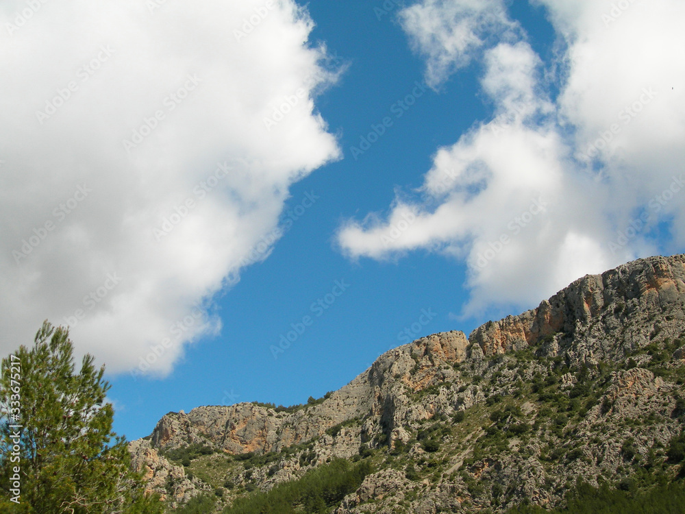 Big mountain surrounded by pine trees with blue sky