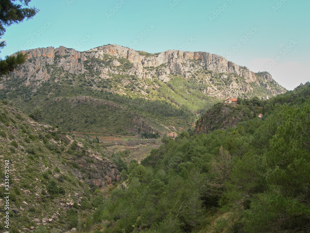 Obraz premium Big mountain surrounded by pine trees with blue sky