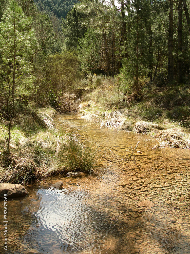Stream with calm water between rocks Stream with calm water between rocks