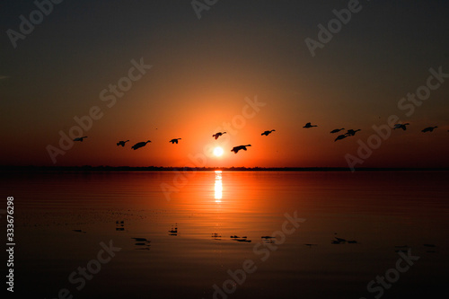lake sunset birds