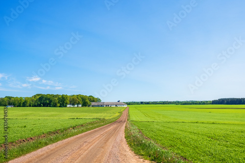Canvas Print Idyllic rural landscape in the summer with a dirt road to a farm