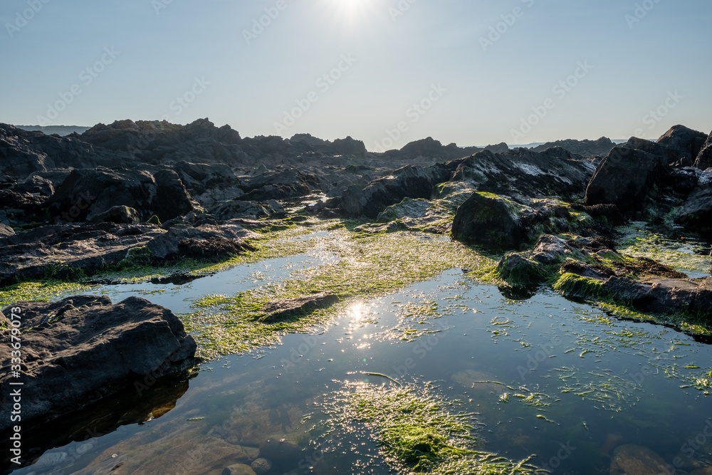 Fototapeta premium Sun reflecting in a water pool from the sea