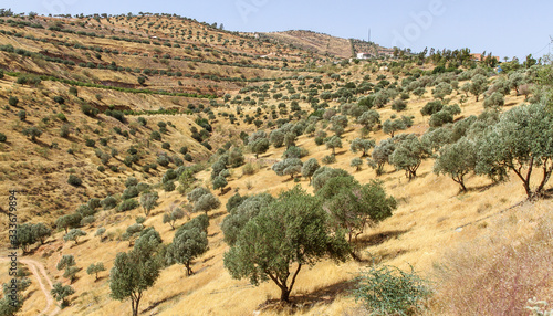 Umm Qais  Jordan Town and Tourist Destination 