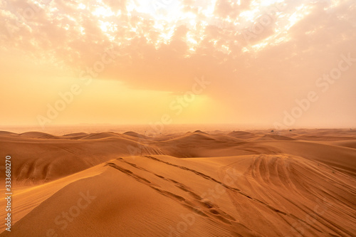 Desert Dubai  United Arab Emirates  UAE