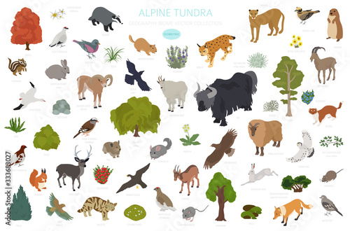 Apine tundra biome, natural region isometric infographic. Terrestrial ecosystem world map. Animals, birds and plants design set