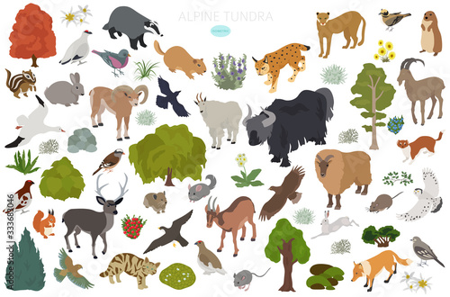 Apine tundra biome, natural region isometric infographic. Terrestrial ecosystem world map. Animals, birds and plants design set
