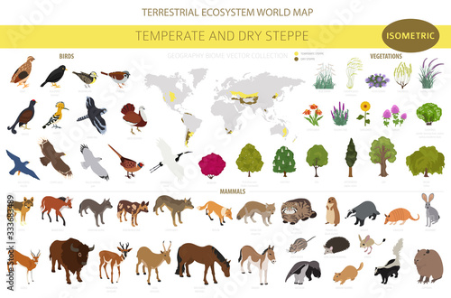 Temperate and dry steppe biome, natural region isometric infographic. Prarie, steppe, grassland, pampas. Terrestrial ecosystem world map. Animals, birds and vegetations ecosystem design set